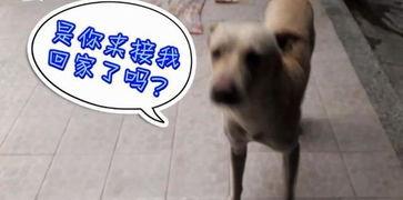 校园吃瓜的场面,揭秘校园里的八卦风云