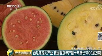吃瓜网变成啥了,揭秘平台新动向