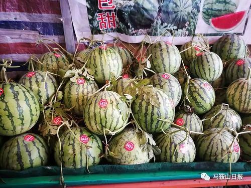 密密喜欢吃瓜,探寻瓜果爱好者的甜蜜生活