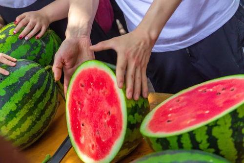 最新学院吃瓜事件,学院最新吃瓜事件，真相竟如此惊人！