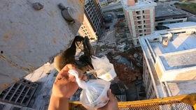 塔吊女司机吃瓜,揭秘工地上的“神秘现象”