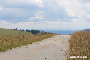 梦见摘地里野瓜吃,摘地野瓜，品味自然馈赠的甘甜