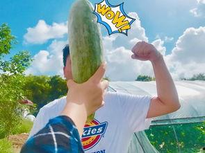 朋友带你吃瓜,畅游美食“瓜”界