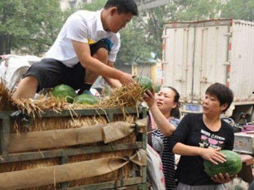 老人吃大瓜是否正常,健康饮食的智慧选择