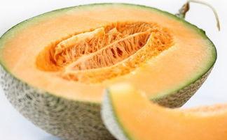 吃哈密瓜能喝水,吃瓜喝水，润泽一夏