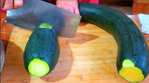 老祖宗吃瓜,探寻老祖宗的消暑秘籍