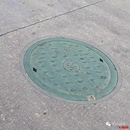 肥鯮井盖吃瓜,一场吃瓜引发的环保大讨论