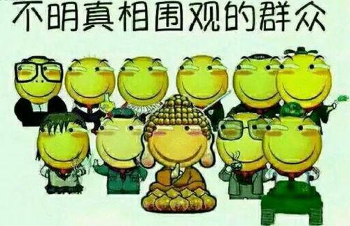 吃瓜群众二维码下载