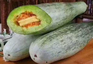 哈蜜瓜田吃瓜,一场与自然的味蕾之旅